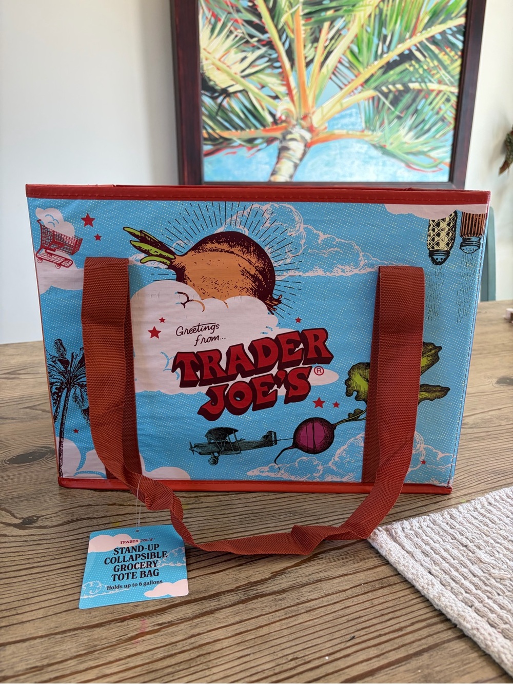 Trader Joe's collapsible grocery tote bag